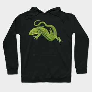 Abronia Hoodie